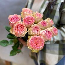 Эсперанса 11 штук