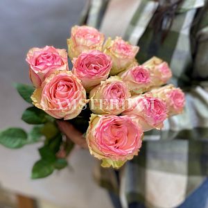 Эсперанса 11 штук