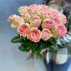 Эсперанса 25 штук